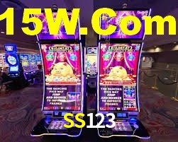 SS123 App Interface